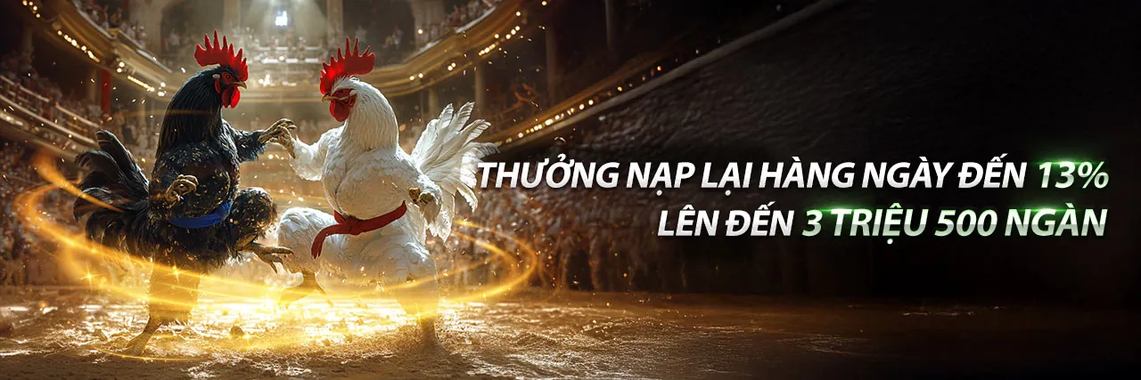 Đá Gà A8BET – Sân chơi cá cược đá gà trực tuyến